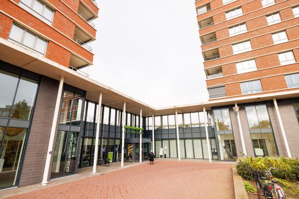 Gagelboschplein