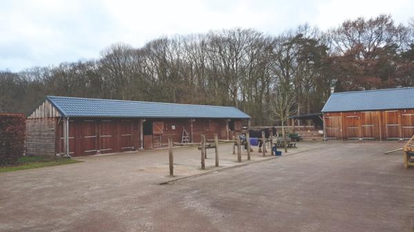De Paardenhoeve